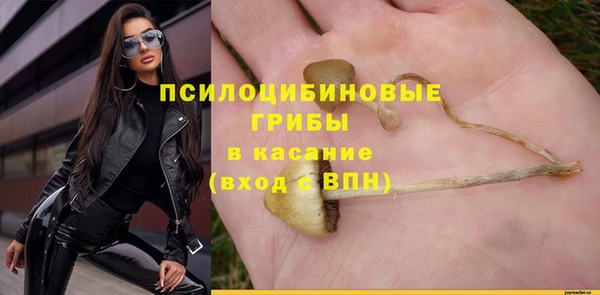 молекула духа Красноперекопск