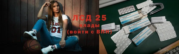 spice Краснослободск