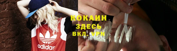 spice Краснослободск