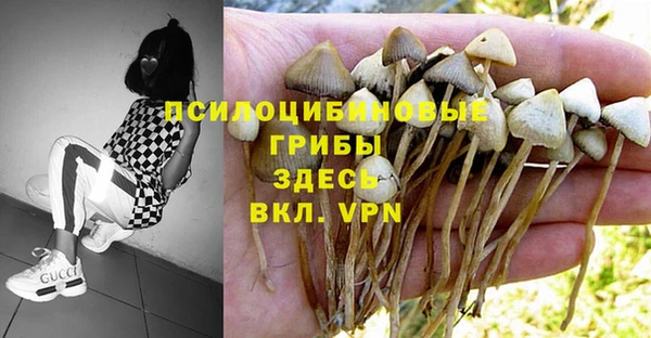молекула духа Корсаков