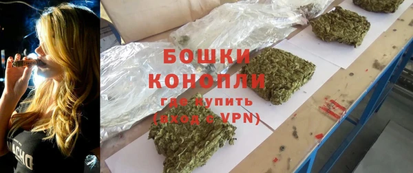 молекула духа Корсаков