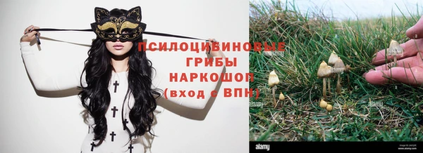 ПСИЛОЦИБИНОВЫЕ ГРИБЫ Костерёво