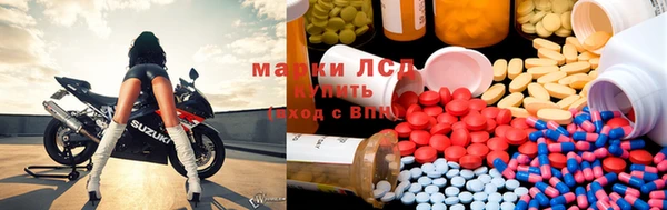 ПСИЛОЦИБИНОВЫЕ ГРИБЫ Костерёво