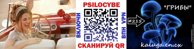 Псилоцибиновые грибы ЛСД  Мещовск 