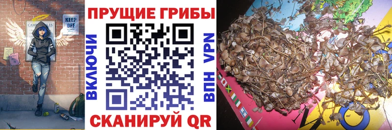 Псилоцибиновые грибы MAGIC MUSHROOMS Мещовск